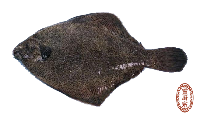 比目魚