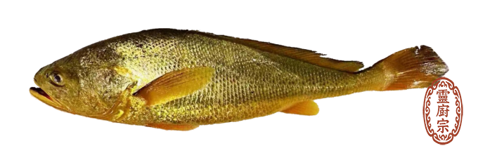 大黃魚